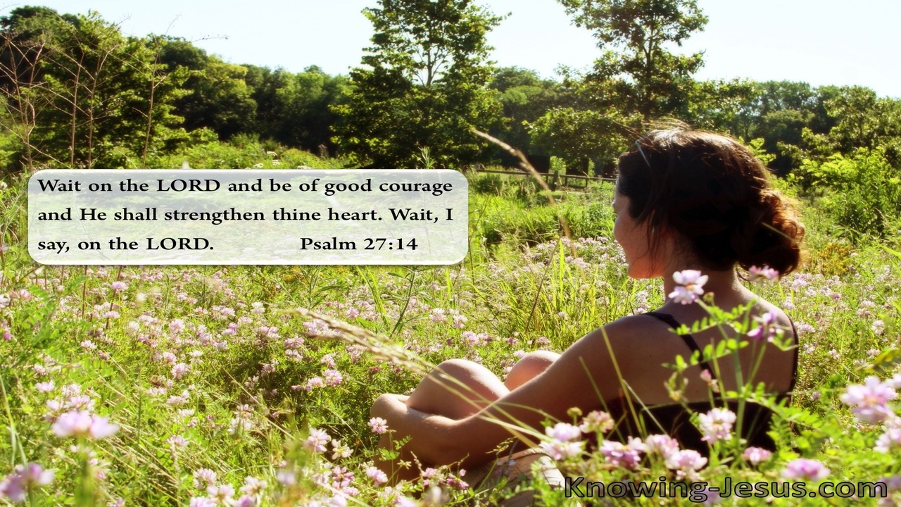 Psalm 27:14 Wait Patiently Wait (green) (devotional)